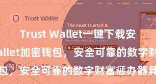 Trust Wallet一键下载安装 Trust Wallet加密钱包，安全可靠的数字财富惩办器具